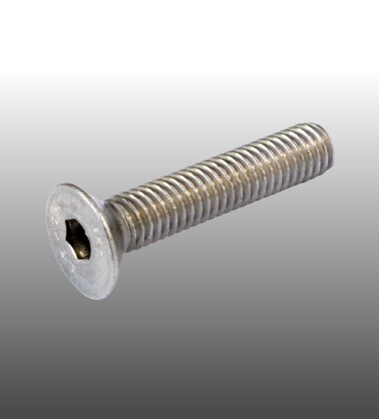Befestigungsschraube Edelstahl 6x25 für Querstabhalter